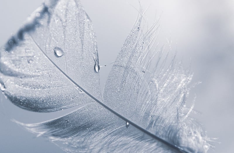 Elegant Nature-inspired Details